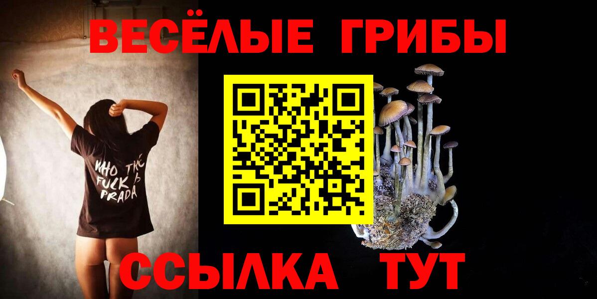 Качканар  Галлюциногенные грибы MAGIC MUSHROOMS  Вход с VPN 